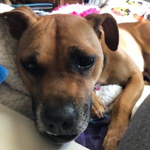 Meet your Posher, Sara k